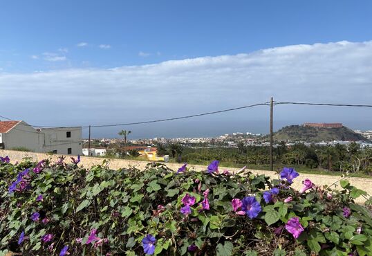 Beautiful finca in the heart of the Orotava Valley