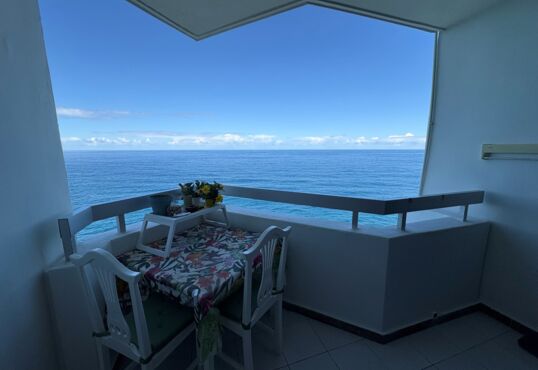 Flat in the first row by the sea