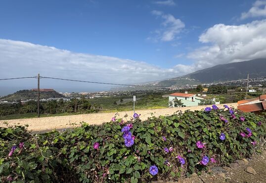 Beautiful finca in the heart of the Orotava Valley