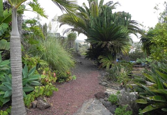 Enchanting finca with impressing views